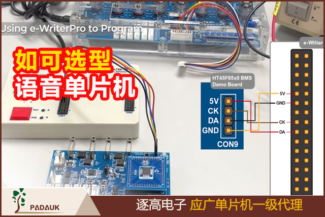 单片机语音芯片(MCU)如可选型采购,单片机代理商有那一些,此文您值得参考,让你事半功倍,对您的单片机语音应用开发有建设性指导思路