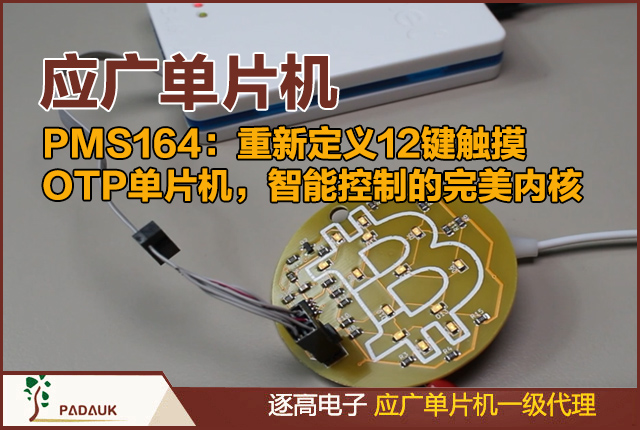 PMS164：12键触摸OTP单片机，应广科技单片机,智能控制的完美内核 , 触摸按键单片机、OTP微控制器、应广科技、低功耗MCU、电容触摸感应