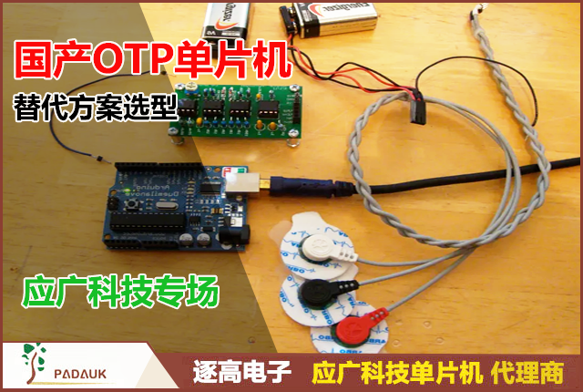 国产OTP单片机替代方案选型 | 应广科技专场 | 逐高电子