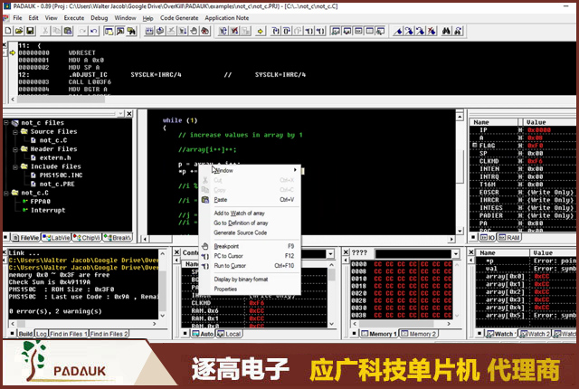 应广PADAUK单片机Mini-C IDE搭建与点灯实战 | 从零到LED闪烁附OTP避坑